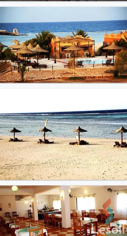 شقق فندقية للبيع بمساحة 50,500 متر و غرفة واحدة في مرسى علم البحر الأحمر