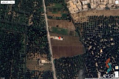 Land agriculture for sale with an area of 4200 meters in Ismailia Ismailia
