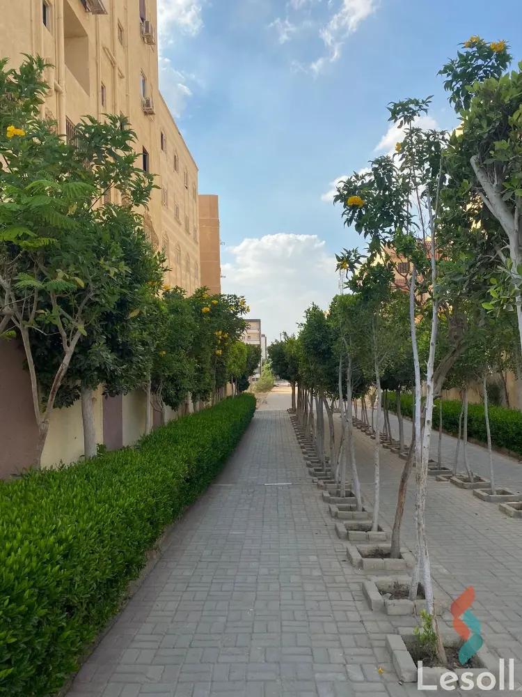 شقة للبيع بمساحة 150 متر و 3 غرف في التجمع الخامس القاهرة - صورة 4