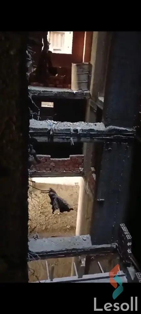 Apartment for sale with an data.area 250 meters and 4 data.rooms in Nasr City Cairo - Image 4