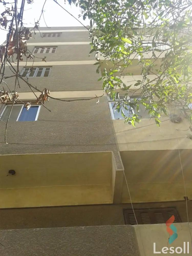 عمارة للبيع بمساحة 504 متر و 20 غرف في مدينة نصر القاهرة - صورة 3