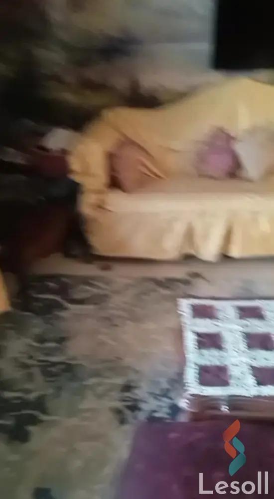 Apartment for sale with an data.area 300 meters and 3 data.rooms in Nasr City Cairo - Image 4