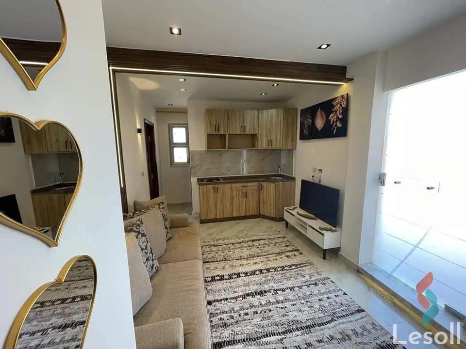 Studio for daily rent with an data.area 100 meters and 1 room in Mohandessin Giza