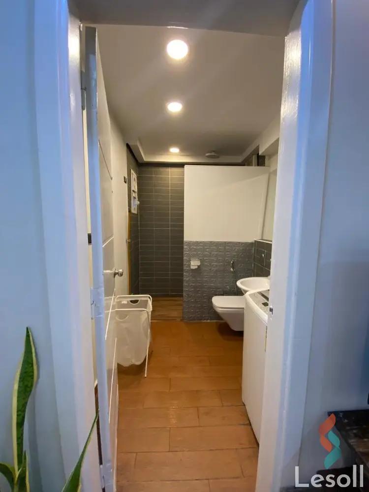 Apartment for monthly rent with an data.area 100 meters and 2 rooms in Cairo Downtown Cairo