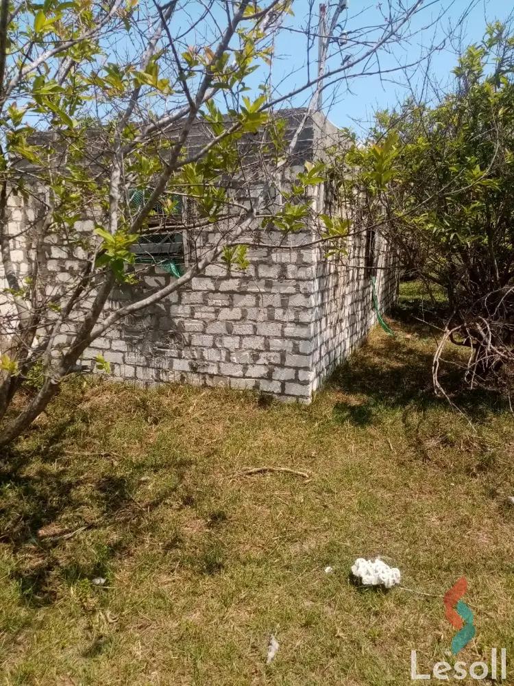 Land building for sale with an area of 2450 meters in Baltim Kafr Al sheikh