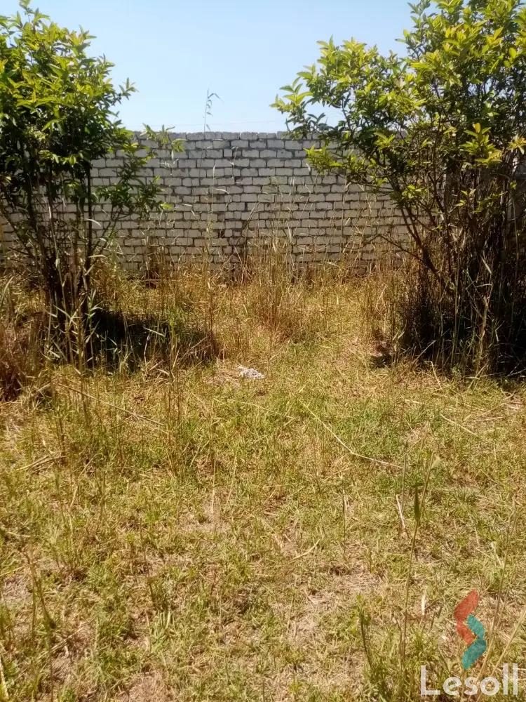 Land building for sale with an area of 2450 meters in Baltim Kafr Al sheikh - All Images