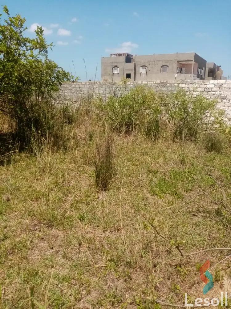 Land building for sale with an area of 2450 meters in Baltim Kafr Al sheikh