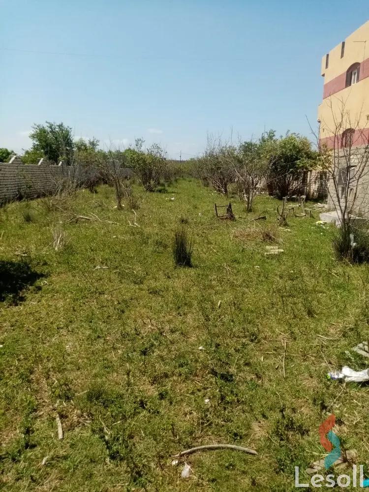 Land building for sale with an area of 2450 meters in Baltim Kafr Al sheikh