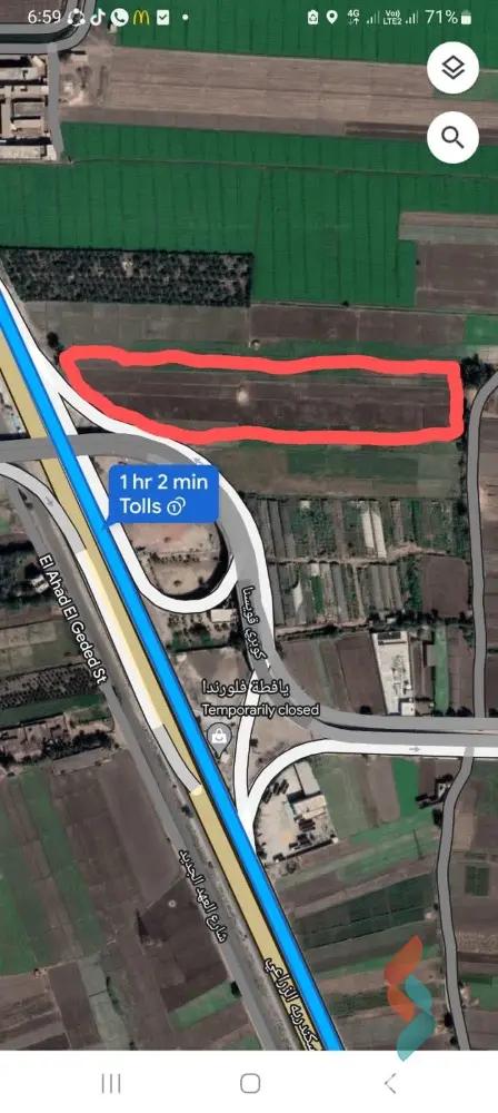 Land agriculture for sale with an area of 8000 meters in Quesna Menofia