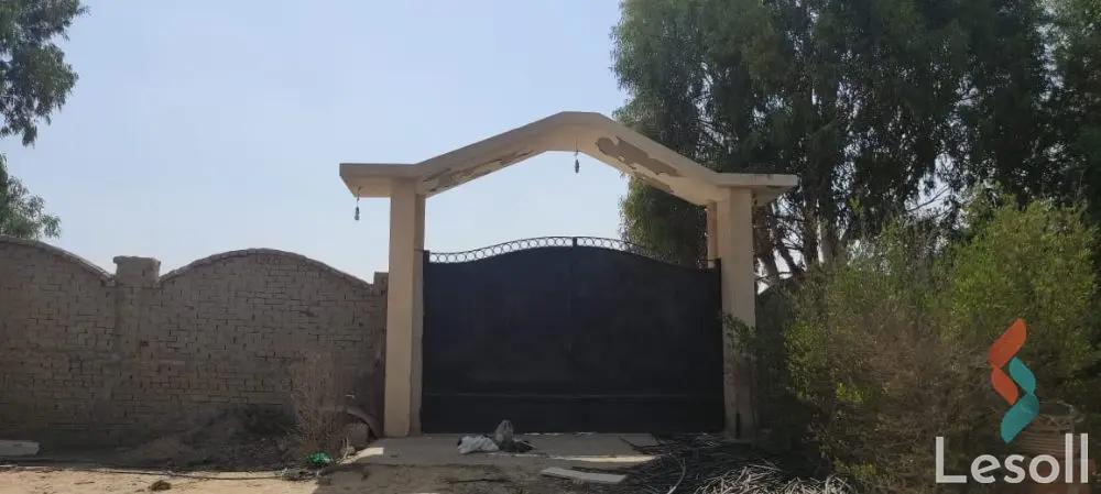 Land agriculture for sale with an area of 5000 meters in Cheikh Zayed Giza - All Images