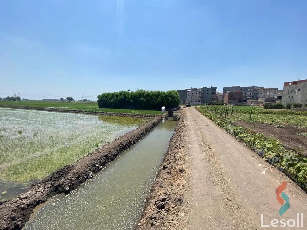 Land agriculture for sale with an area of 2625 meters in Mansoura Dakahlia