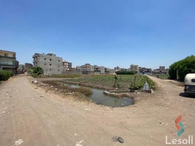 Land agriculture for sale with an area of 2625 meters in Mansoura Dakahlia