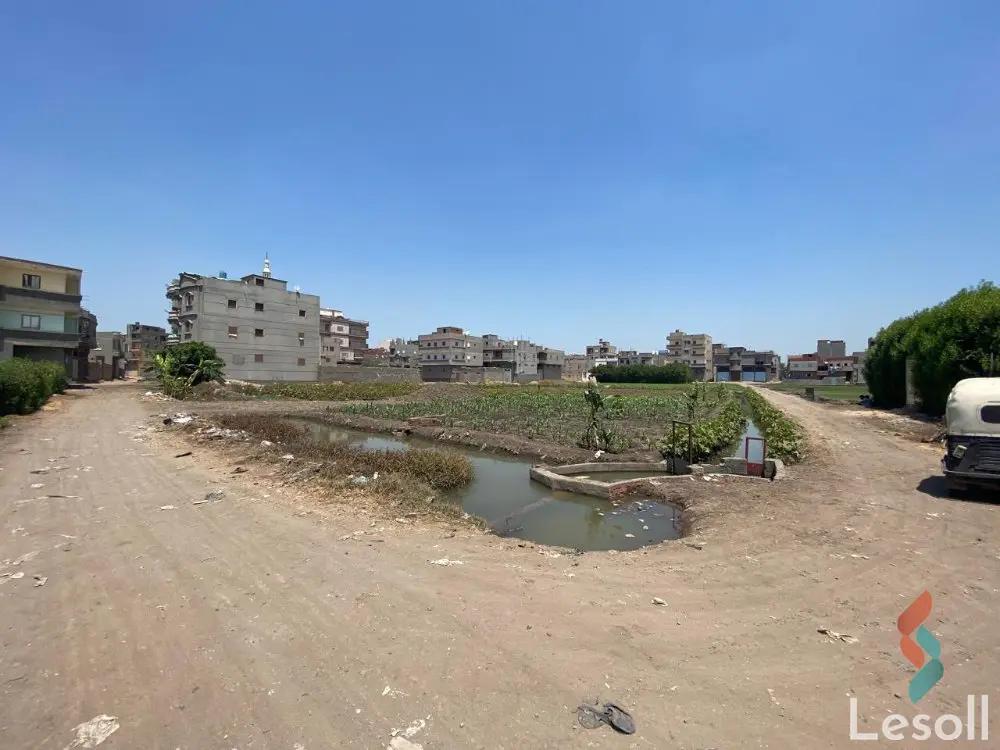 Land agriculture for sale with an area of 2625 meters in Mansoura Dakahlia