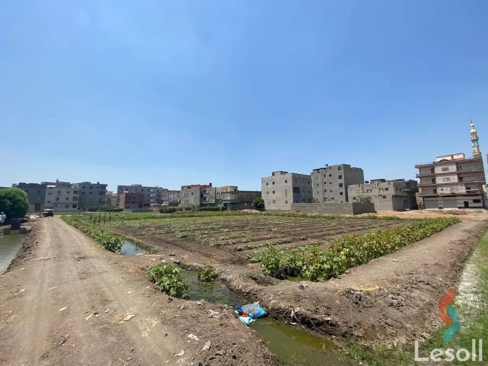 Land agriculture for sale with an area of 2625 meters in Mansoura Dakahlia