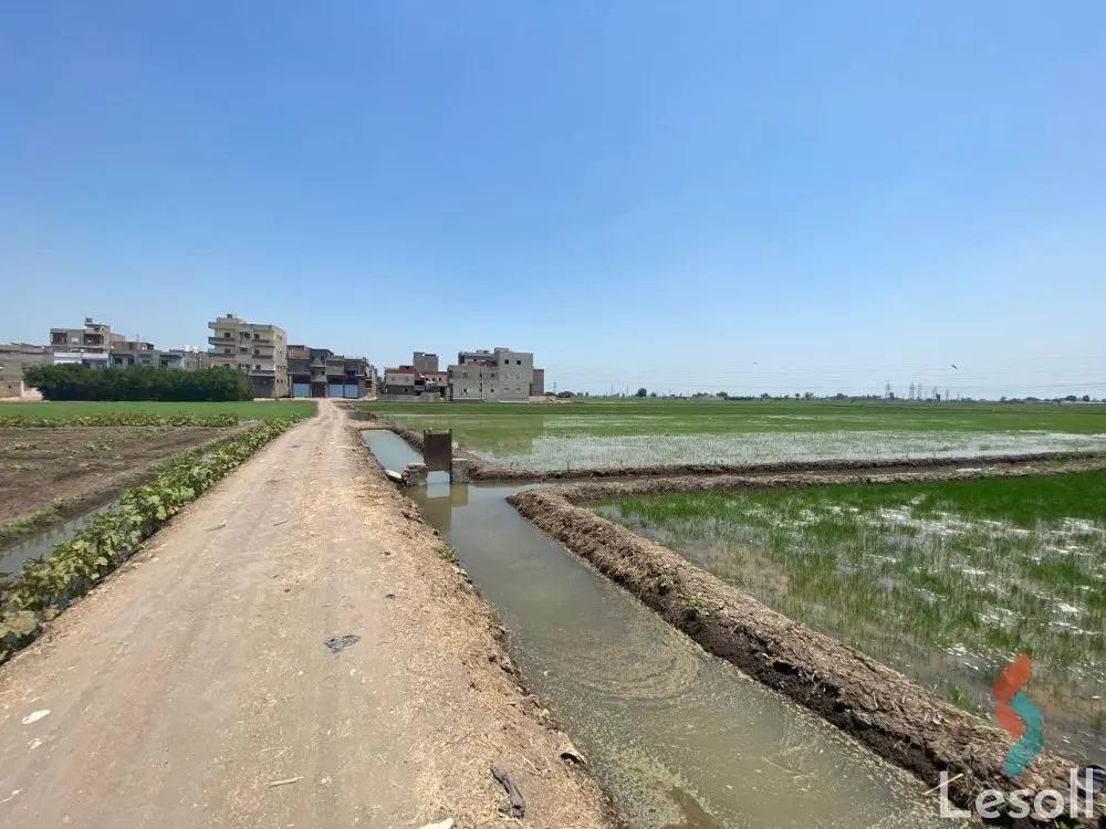 Land agriculture for sale with an area of 2625 meters in Mansoura Dakahlia
