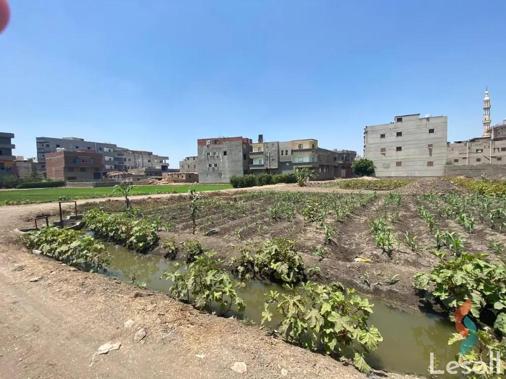 Land agriculture for sale with an area of 2625 meters in Mansoura Dakahlia - All Images