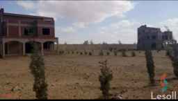 أرض للبيع بالحزام الاخضر الارض مساحتها ٤٢٠٠٠ م للاستثمار