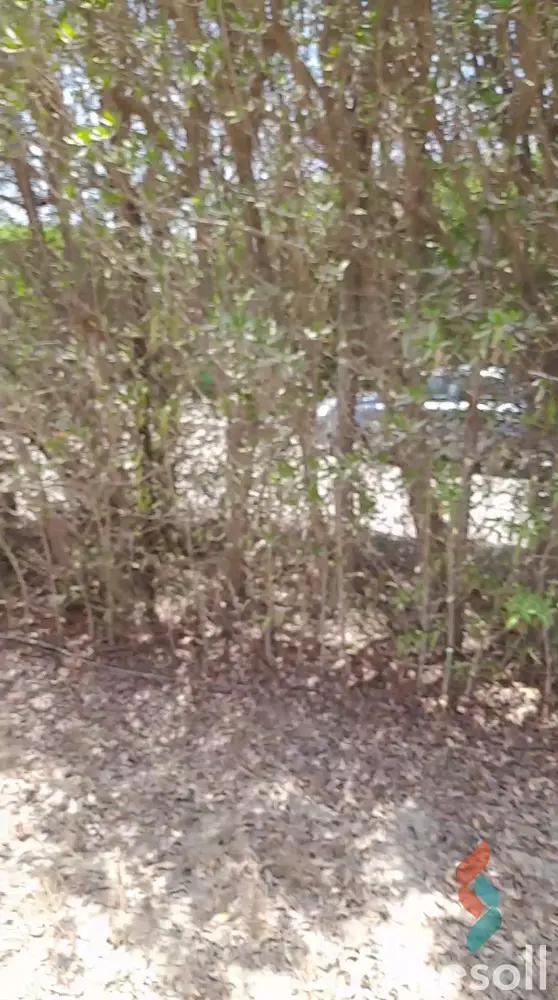 Villa for sale with an data.area 566 meters and 3 data.rooms in Sixth of October Giza