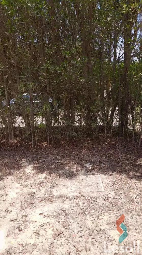 Villa for sale with an data.area 566 meters and 3 data.rooms in Sixth of October Giza