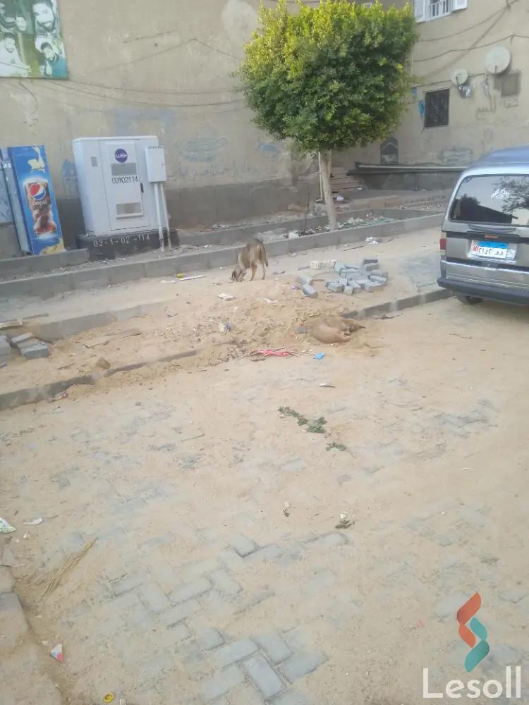 Retail for sale with an area of 155 meters in Katameya Cairo