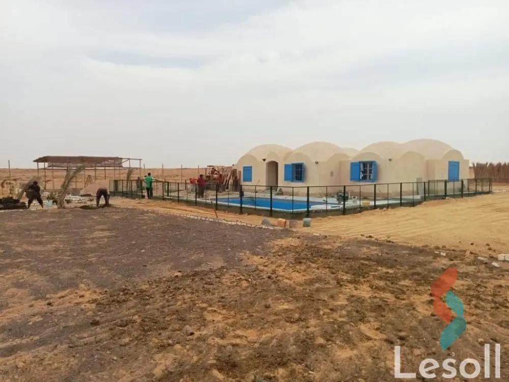 Land agriculture for sale with an area of 21000 meters in Tamiya Fayoum - Image 4