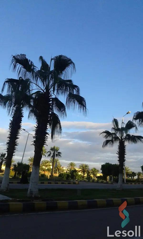 Apartment for sale with an data.area 80 meters and 2 room in Bourj Alarab Alexandria