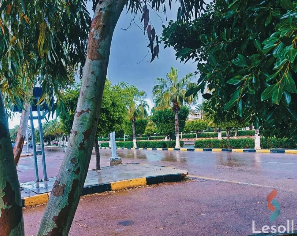 Apartment for sale with an data.area 80 meters and 2 room in Bourj Alarab Alexandria