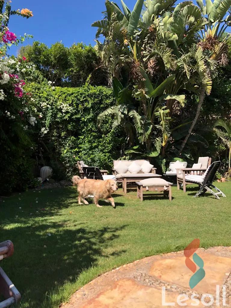 Chalet for sale with an area 300 meters and 3 rooms in El Hamam Matrouh