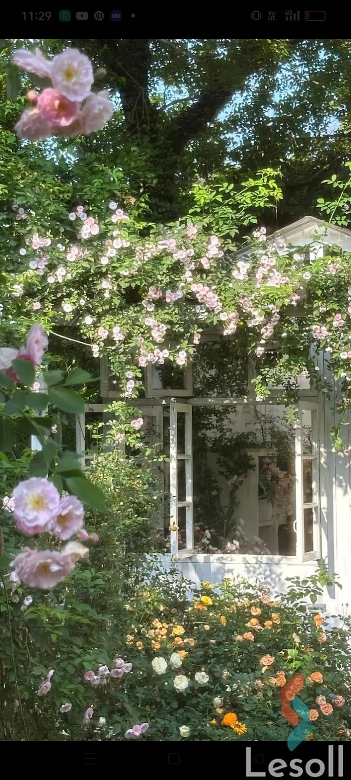 شقة للبيع بمساحة 150 متر و 3 غرف في مدينة الشروق القاهرة شقة للبيع بمساحة 150 متر و 3 غرف في مدينة الشروق القاهرة