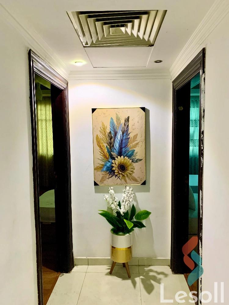 Apartment for daily rent with an area 250 meters and 3 rooms in Mohandessin Giza Apartment for daily rent with an area 250 meters and 3 rooms in Mohandessin Giza