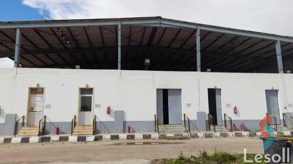 Factory for sale with an area 7,000 meters in Bourj Alarab Alexandria