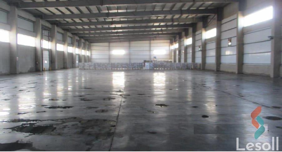 Factory for sale with an area 850 meters in Bourj Alarab Alexandria