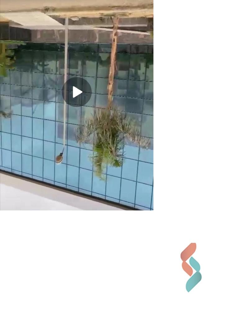 hospital for sale with an area 820 meters in 5th Settlement Cairo