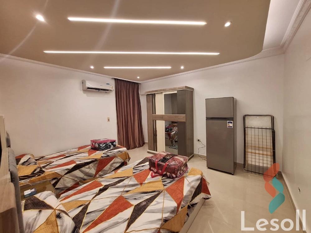 Studio for daily rent with an area 70 meters and 1 room in Nasr City Cairo