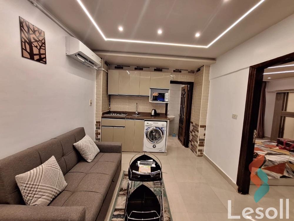 Studio for daily rent with an area 70 meters and 1 room in Nasr City Cairo