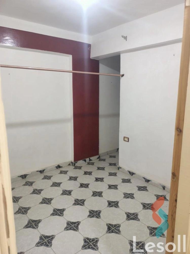 Apartment for monthly rent with an area 65 meters and 2 room in Smouha Alexandria