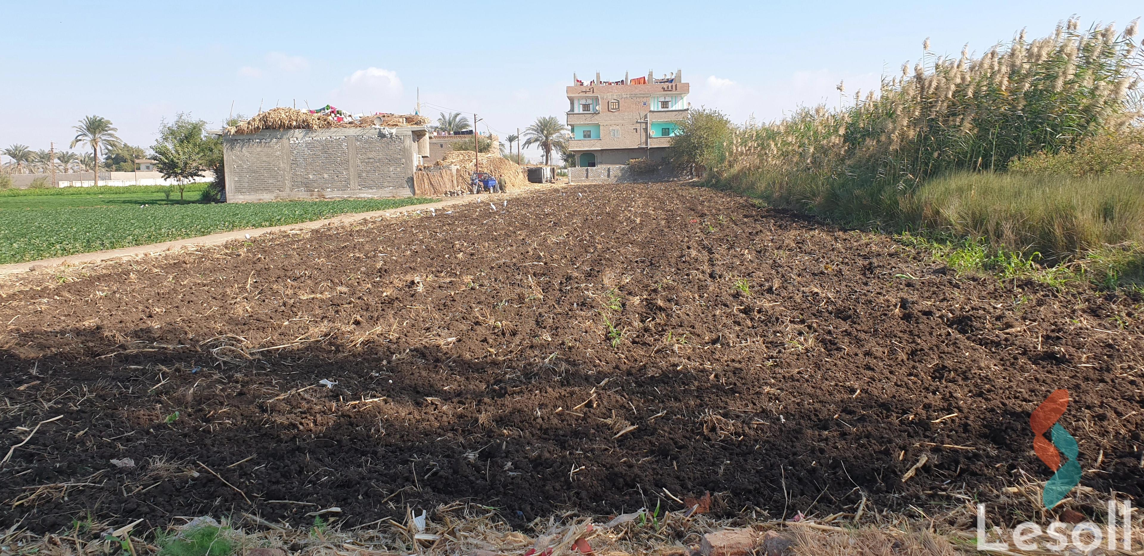 Agriculture land for sale with an area 1,663 meters in Manfalut Assiut