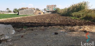 Agriculture land for sale with an area 1,663 meters in Manfalut Assiut