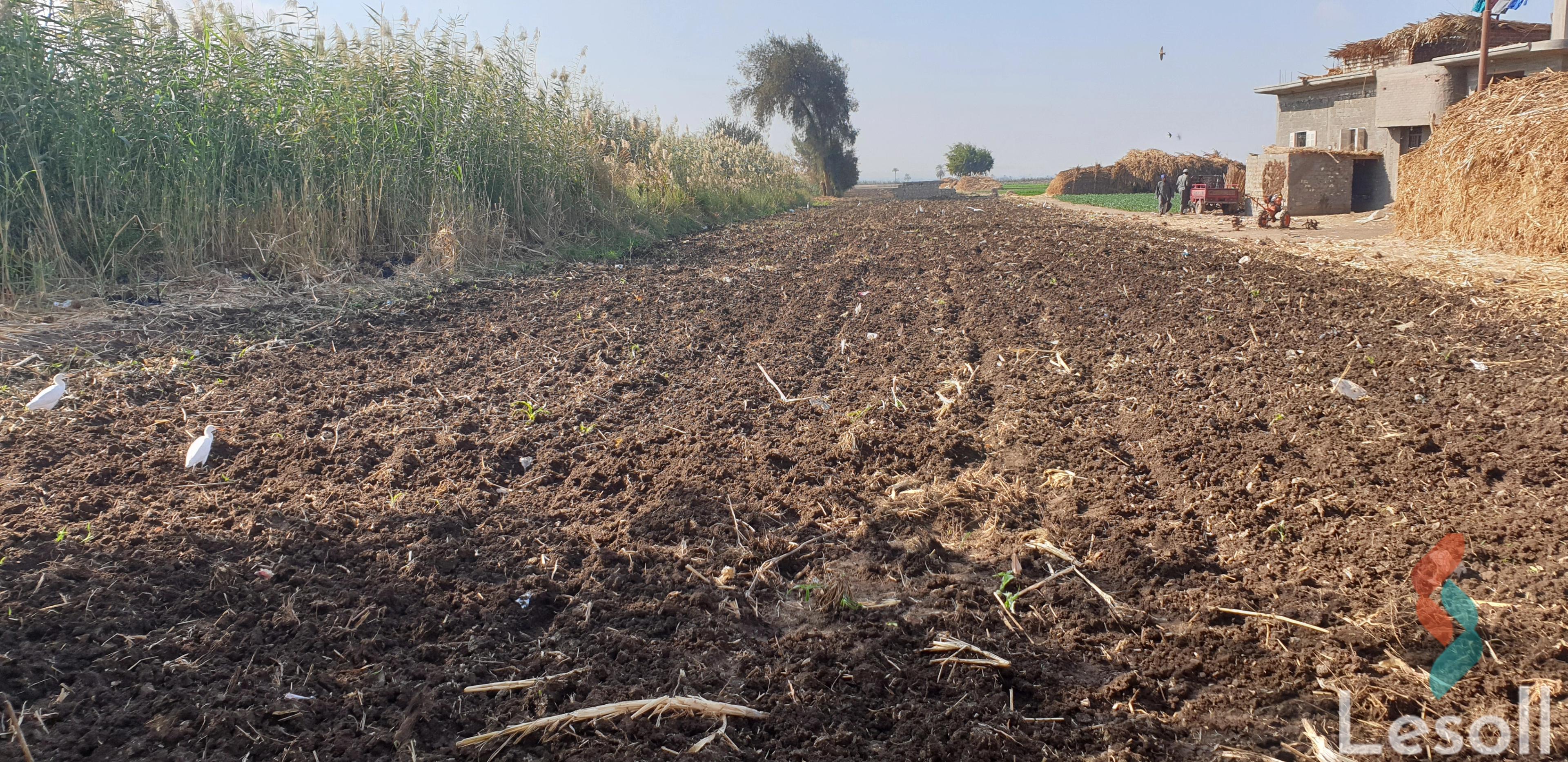 Agriculture land for sale with an area 1,663 meters in Manfalut Assiut