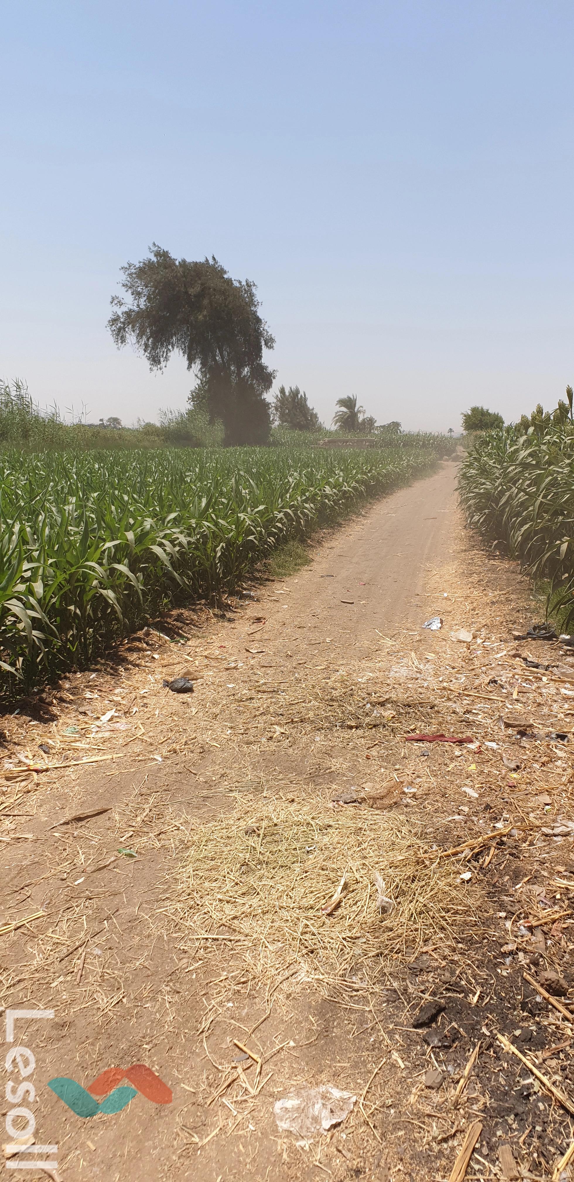 Agriculture land for sale with an area 1,663 meters in Manfalut Assiut