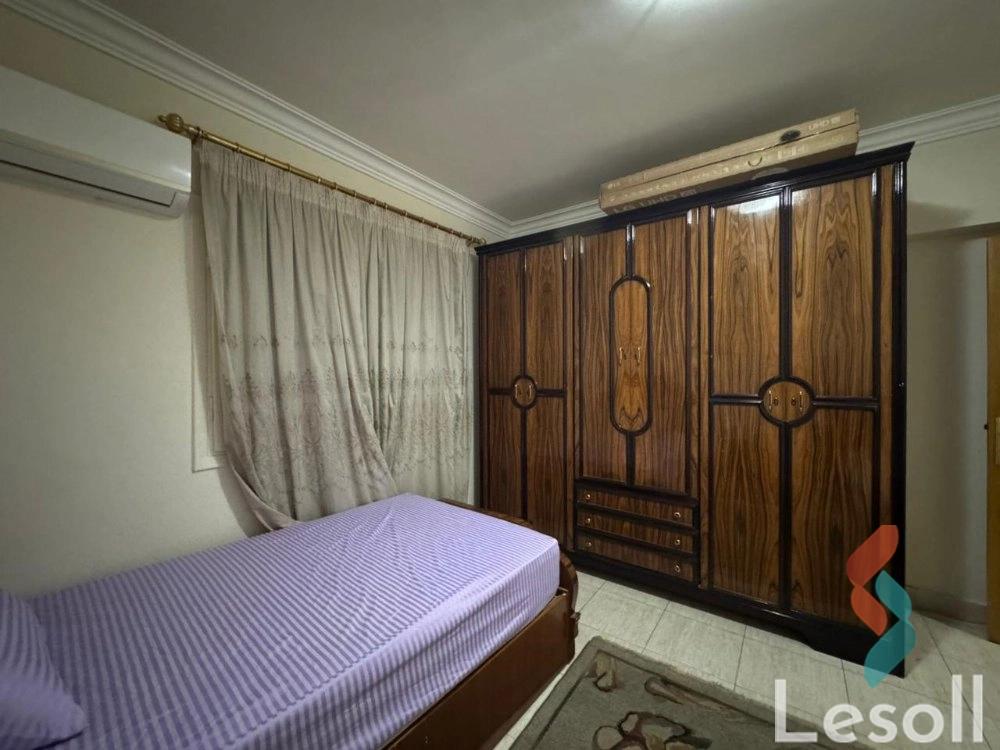 Apartment for monthly rent with an area 240 meters and 3 rooms in Nasr City Cairo - All Images
