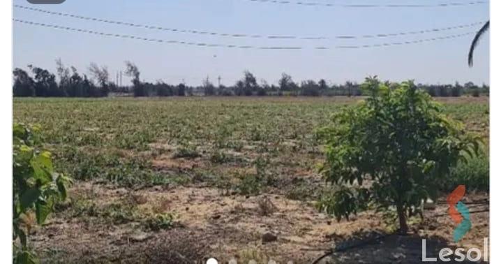 Building land for sale with an area 613 meters in Kafr El Dawar Beheira