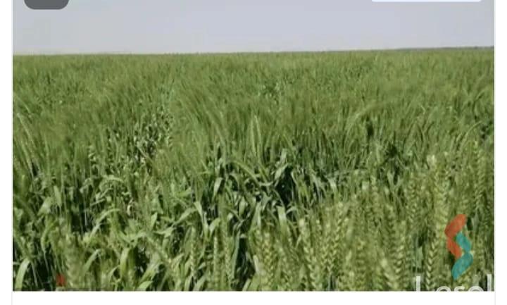 Building land for sale with an area 613 meters in Kafr El Dawar Beheira