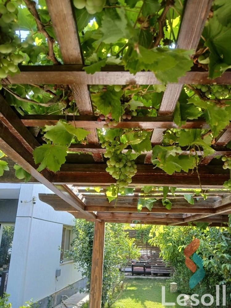 Villa for monthly rent with an area 236 meters and 4 rooms in Madinty Cairo