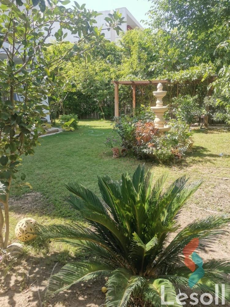Villa for monthly rent with an area 236 meters and 4 rooms in Madinty Cairo