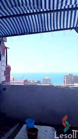 سيدى بشر بحرى( فيو بحر) متفرع من خليل حماده