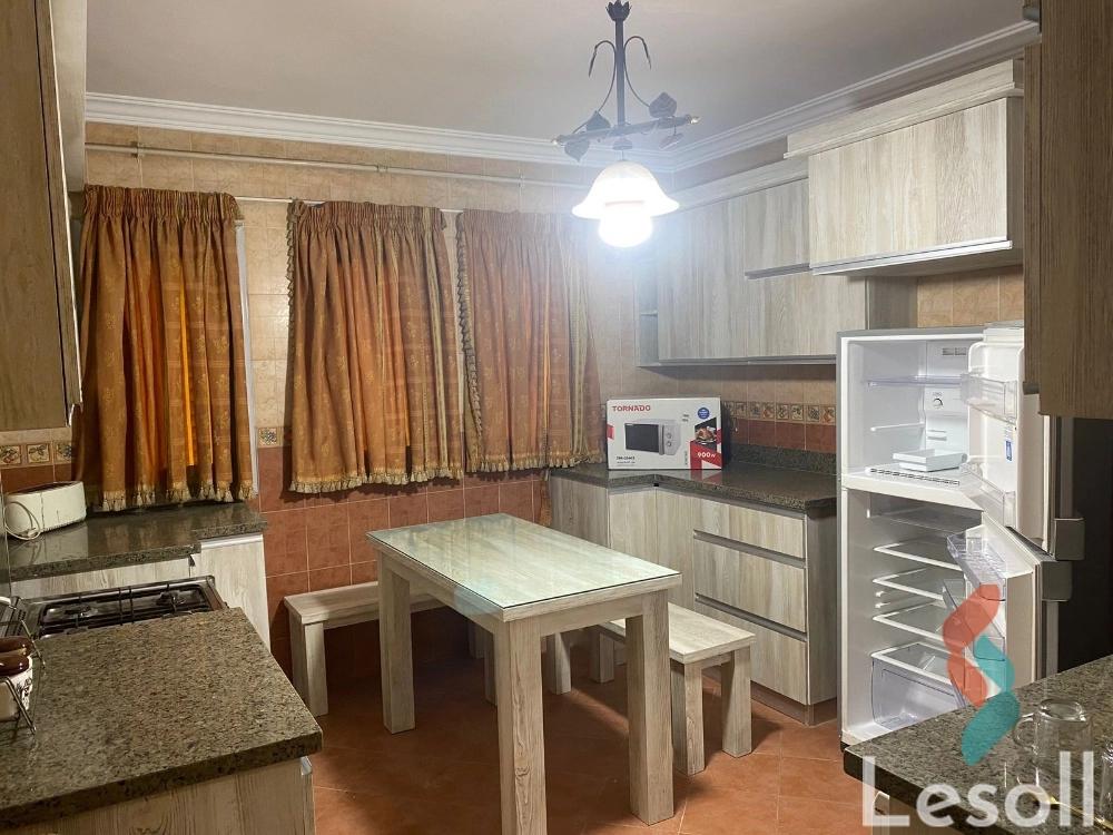 Apartment for monthly rent with an area 240 meters and 3 rooms in Nasr City Cairo
