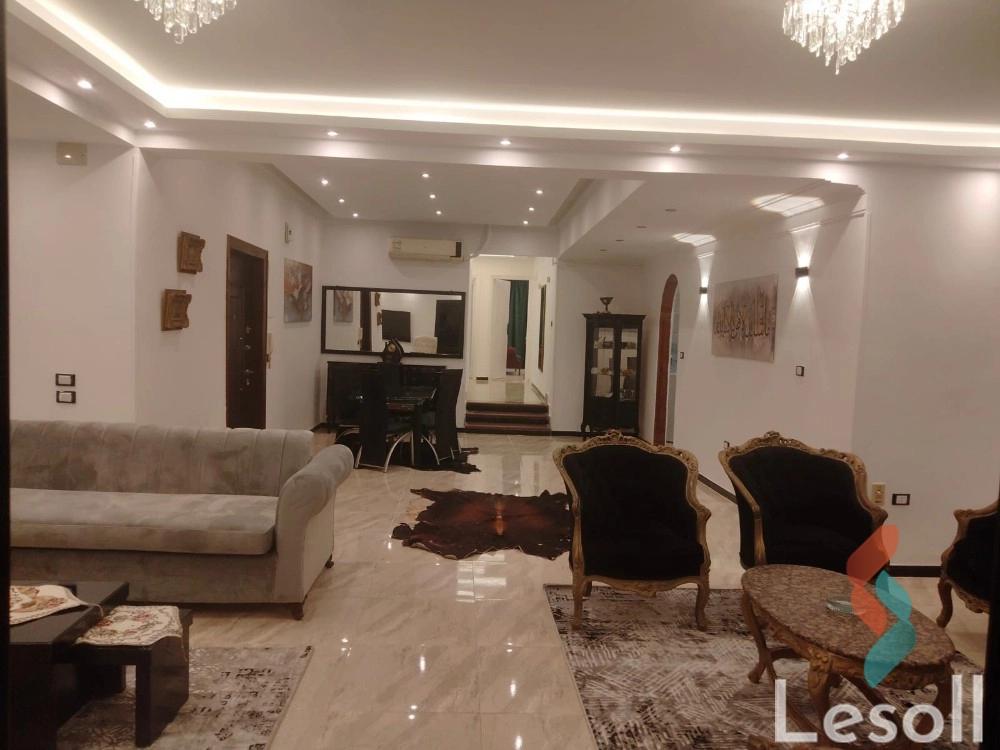 Apartment for monthly rent with an area 300 meters and 3 rooms in Nasr City Cairo