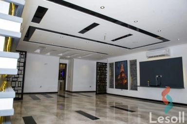 Apartment for monthly rent with an area 250 meters and 3 rooms in Nasr City Cairo