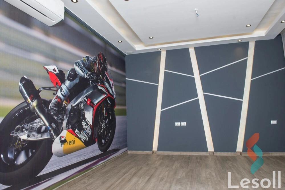 Apartment for monthly rent with an area 250 meters and 3 rooms in Nasr City Cairo